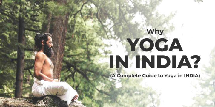 Why Yoga in India? – A Complete Guide to Yoga in India