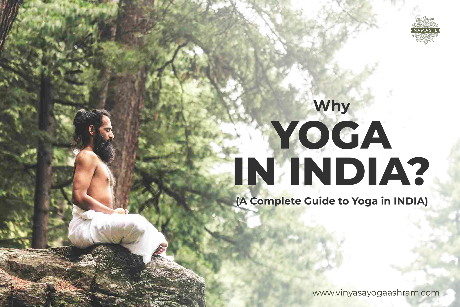 yoga in india essay