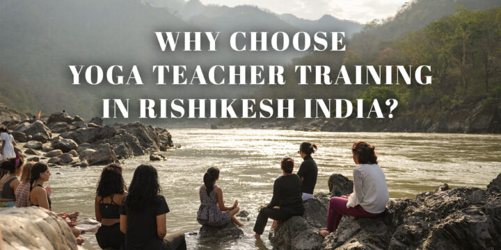 Why Choose Yoga Teacher Training in Rishikesh India?