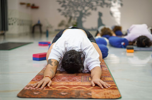 Yin Yoga Teacher Training Course in Rishikesh